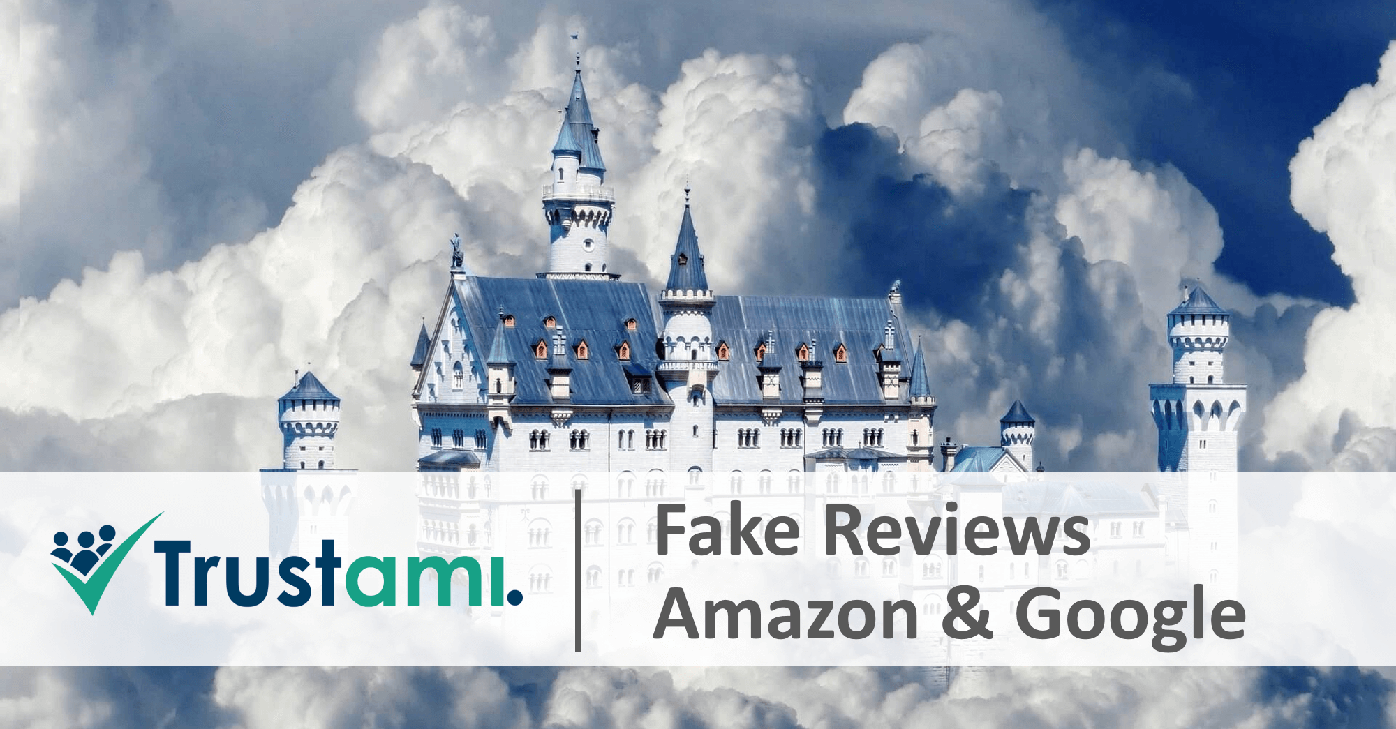 Fake Reviews Amazon Google